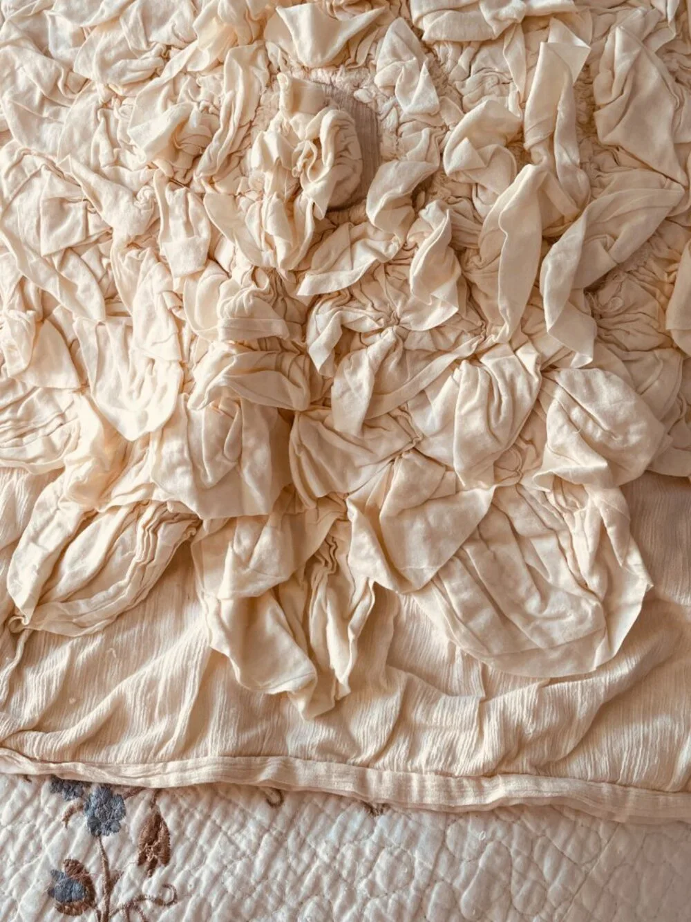 Anthropologie Georgina Queen Duvet Cover, Dust Ruffle, & 2 European Pillow Shams